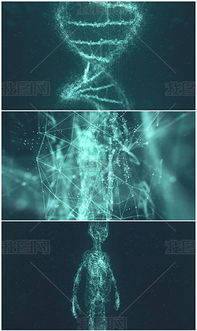 mp4科技基因 mp4格式科技基因素材图片 mp4科技基因设计模板 