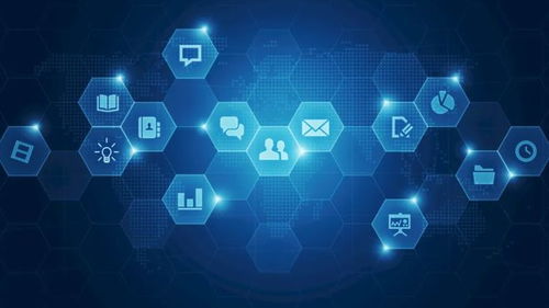 企业管理者需要识别不确定性,并与之共处