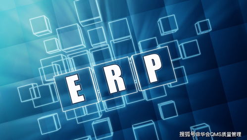 生产型的工厂都用什么erp
