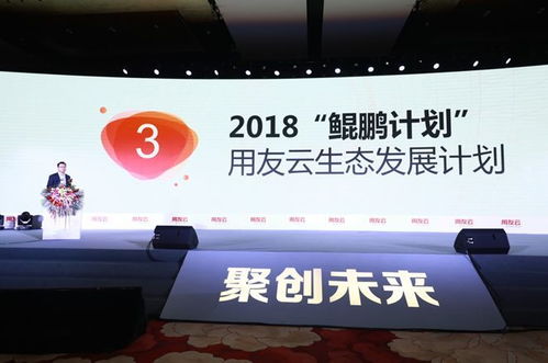 聚 创未来 2018用友生态伙伴大会在京举行